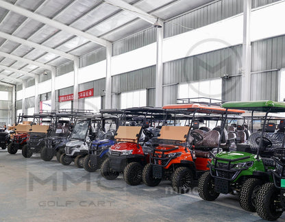 4 Wheel Drive 4X4 Golf Buggy Car New Electric Hunting Golf Cart 4WD for Sale