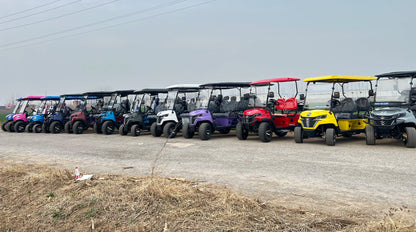 2025 MMC Brand New Designed Factory Price Golf Carts 4000W 5000W 7500W Buggies Wholesale Electric Golf Cart