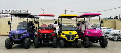 Wholesale Hunting Sightseeing Cart CE 6 Seater Passenger Lithium Battery Golf Kart Electric Golf Cart