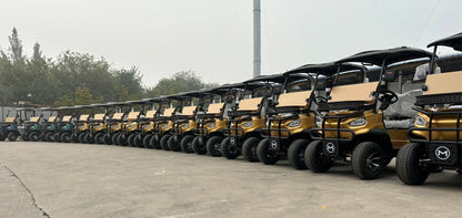 4 Wheel Drive 4000W/5000W/7000W Off Road Street Legal 48V/72V Lithium Golf Buggy 2 4 6 8 Seater Electric Golf Cart